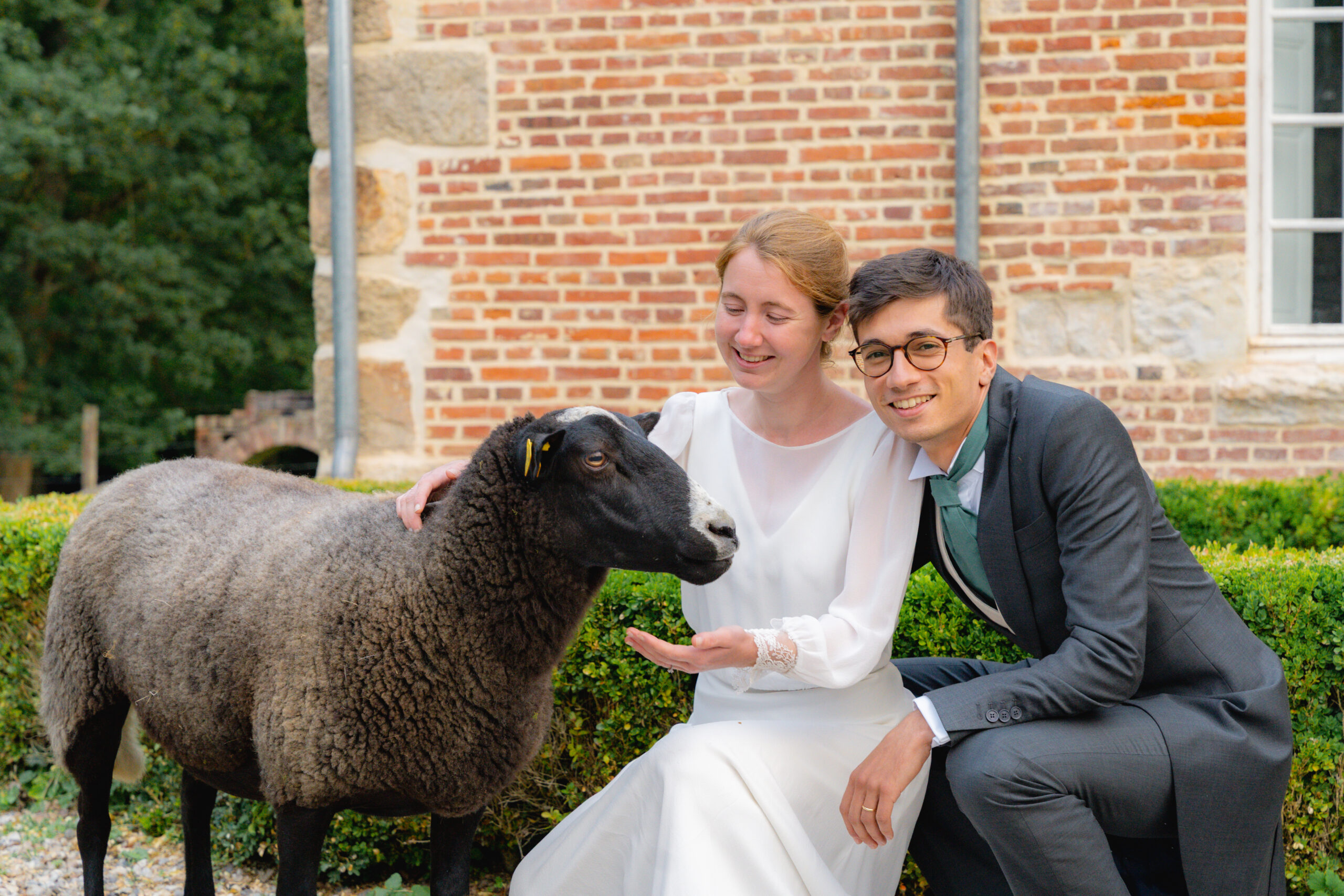 Mariés au Château de Lihus avec un mouton dans le parc